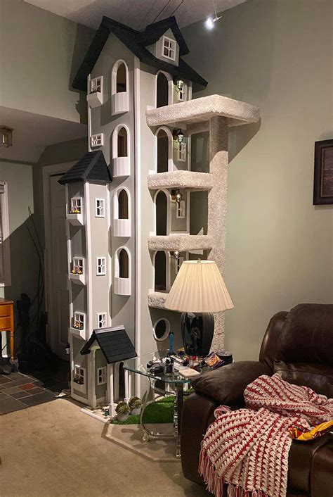 Unfortunately, though your cat will often scratch your furniture, curtains, or precious plants around your house so its a good idea to get your fun-loving feline some cat furniture of their own. . Cat towers for sale near me